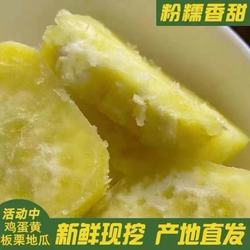 本物の潮山の掘り出し黄栗芋、甘くて柔らかくもちもちの緑色の食品、農場の栗、卵、サツマイモ、メロン|undefined