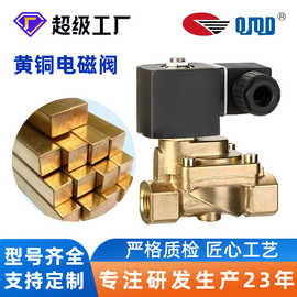 【定制】5202型高压电磁阀膜片式吹瓶机械专用高压气体电磁阀