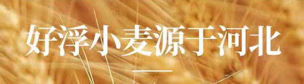 Fu Xiao Mai (Triticum aestivum) — Naturally Sun-Dried Light Wheat for Tea & Soup overview