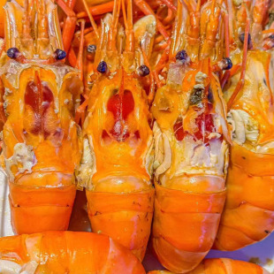 ���r����_�����r ȫҎ���_���r