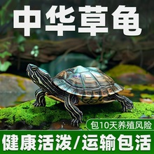 �����������A������С�������������B�L�ی������^�p������