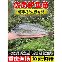 �|�~�絭ˮ�Bֳʳ���|�~�~���ں��|�����|�~��������ʳ·���~��