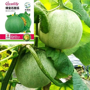 �G��ʯ��ϷN����ϷN�ѾGƤ����Ƥ�ļ��̨�����߲�ˮ���N��