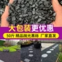 园林打蜡庭院景观铺路石