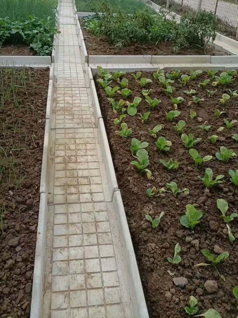 菜沟板铺装效果图 (3)