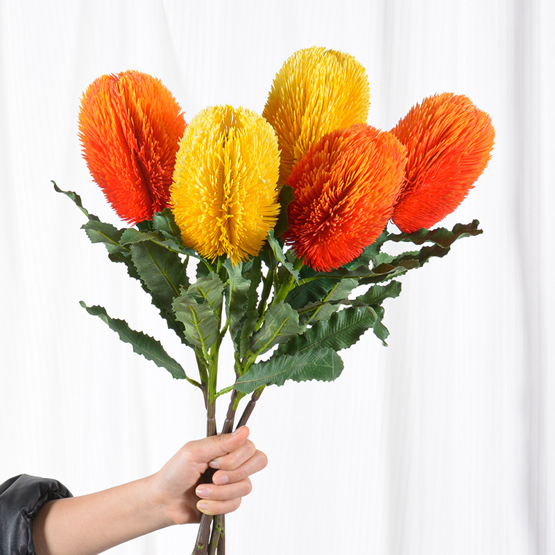 新款仿真斑克木 乾枯澳洲帝王花佛塔花家居裝飾餐桌擺件插花廠家