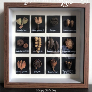 Hollow Stereoscopic Wooden Photo Frame Handmade DIY Creative Dried Flower Plant Fruit Specimen A4 Set Table Piece Square Picture Frame