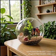 ΢���^б��̦�\���Bƿ���l �������ⲣ����ƿ diy��ƿ�A�����k