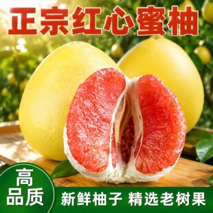 ����ƽ�ͬgϪ����10���b�t�Į������r����ˮ�����l��ֱ����