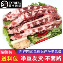 ���r�i�عǴ������i�Ź����ּt���Ҝ����r�i����b�GɫʳƷ