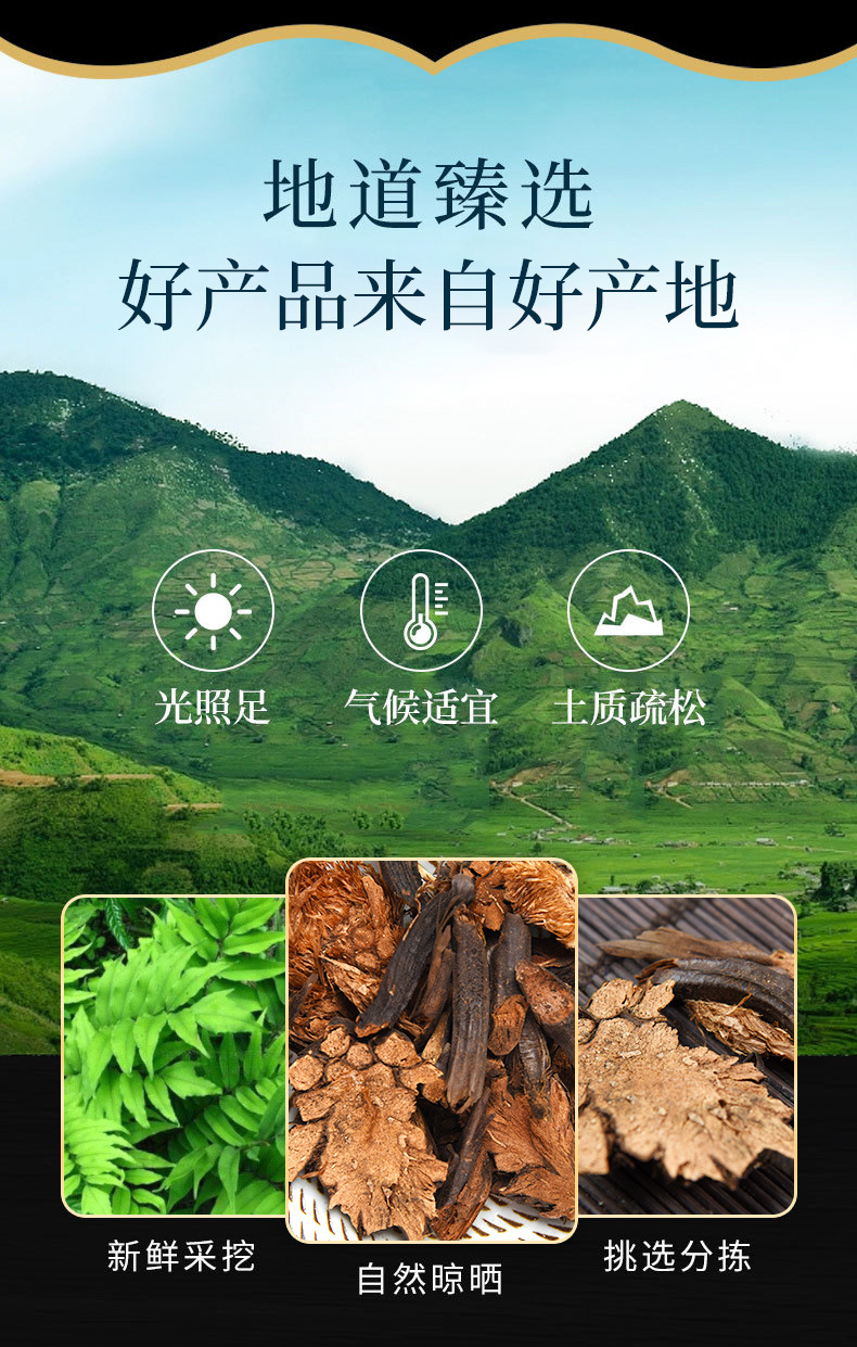 Guan Zhong (Dryopteris crassirhizoma) — Dried Male Fern Rhizome, 500 g overview