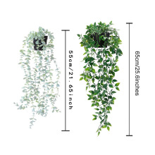 ���R�d�羳���u����ֲ�� ����Ғ��ȼ����ٗl�ڒ� �҃����bG��