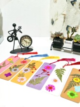 ���ƕ���diy���όW���ֹ�����ֲ��ɻ��˱����������������g��