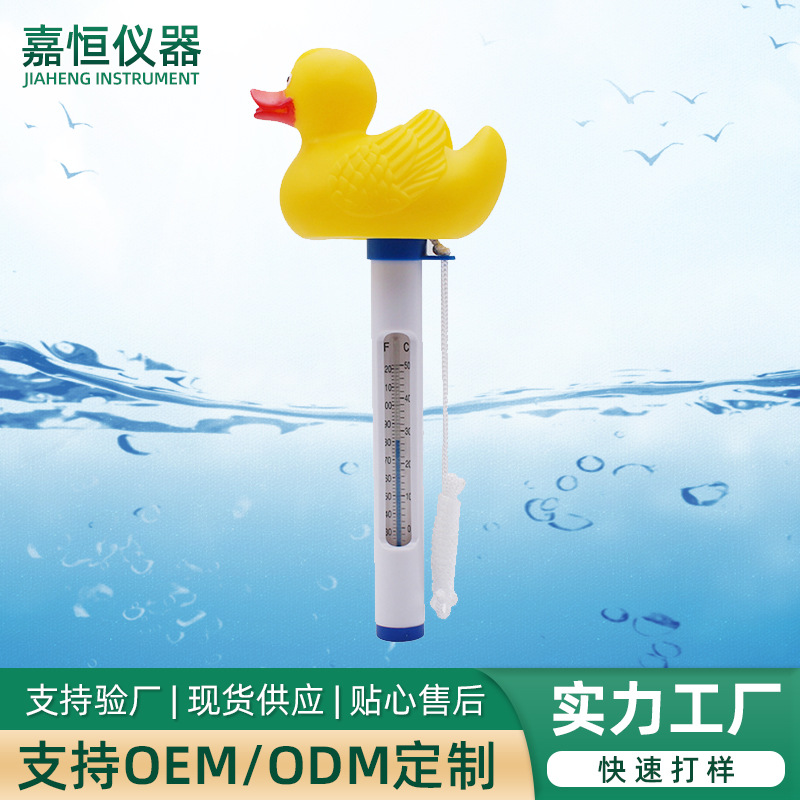 泳池浮水温度计 泳池专用温度计 泳池水温温度计 泳池水温测试仪