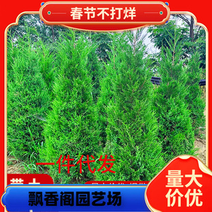 һ�����l�ؘ��� ���ر�� �ɰ؂Ȱ����،�����֦��ؘ������L�ۘ�