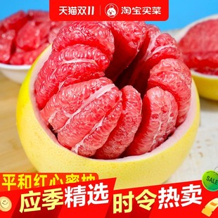 �����t�������������r�������r��Fժ��ˮ���t������������]