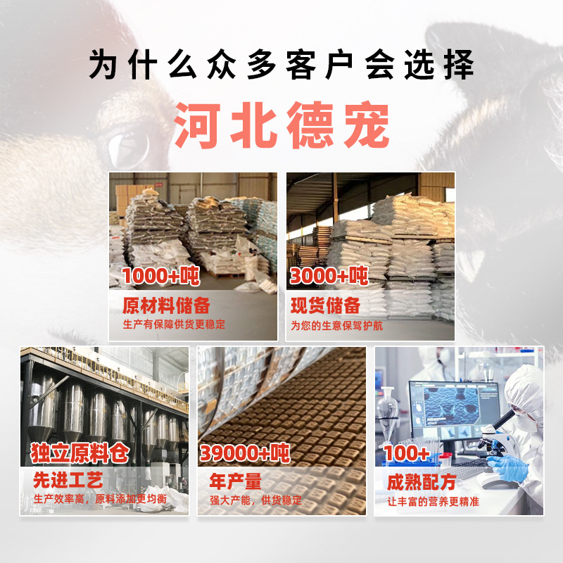 通用主图 (1).jpg