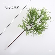 假黑松马尾松枞松五针松罗汉松松树枝条松针崖柏绿叶道具松粗弯杆