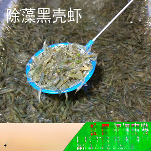 �ښ��r�����r�^�p�坍�r�����r�ݸ��쾰������w���