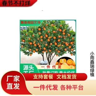 �������lɰ�ǽ��������o��ɰ������ɳ�ǽ��������箔��Y��