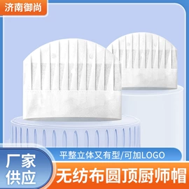 工作帽;无纺布帽;一次性口罩