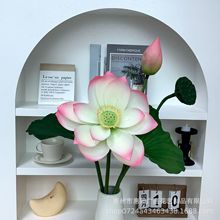 ����M�Ϻɻ�ɏ����~ɏ���͏d�[�ņ�ֻܛ�z�ٻ�ˮ�ػ�ƿ�쾰�b�