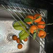 �S��ֱ�� �ۯB������ˮ������� �rˮ�� ���� ���d�Vˮ�ܞrˮ��