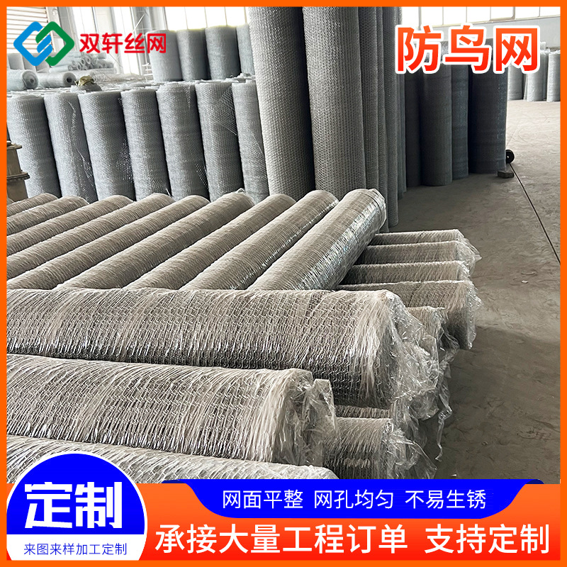 不锈钢防鸟网建筑车站机场防鸟网隔离防护网 古建防鸟网厂家