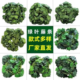 �����ٗl�����~����ֲ����~�ӹܵ�����b��ټٻ����ϾG�~�p�@