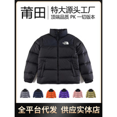 莆田北家1996羽绒服灰色男女羽绒服情侣款羽绒服高版本TNF面包服