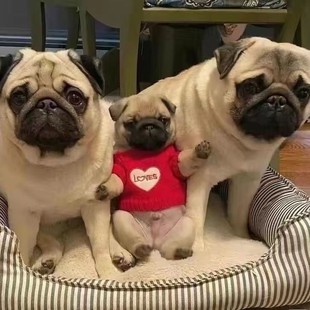 ���N���͹��͸�Ȯ��ȮС���ȴ��۾���Ę��ë���BС��Ȯ���w���ﹷ