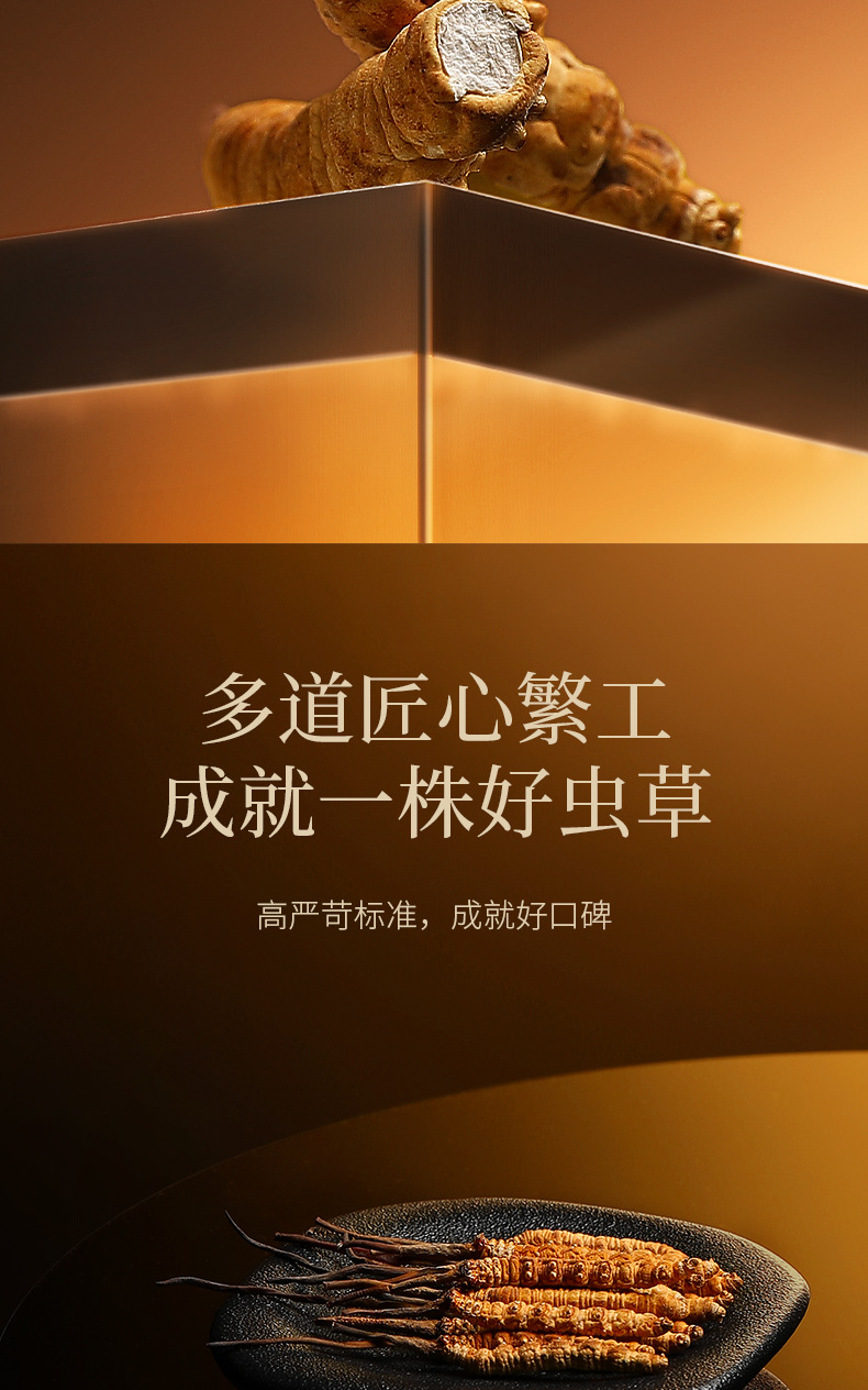 Premium Cordyceps Sinensis Gift Box 20g Wild-Harvested Qinghai Dong Chong Xia Cao specifications