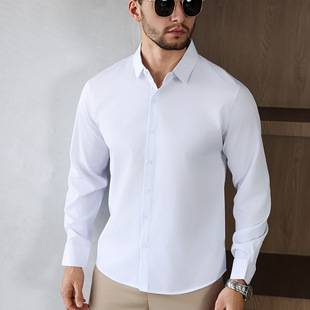 Cross-Border New Amazon Popular Solid Color Long-Sleeved Business Men's European Size Anti-Wrinkle Solid Color Shirt Wholesale