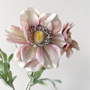 ���Sֱ�N �����yɏ�� ���^�� �͹Ž����廨��Y�b�ˇ ���l�ٻ�