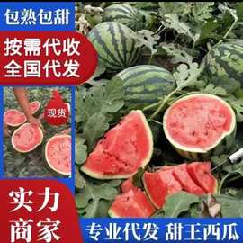 江苏西瓜批发价格安徽西瓜批发基地江西西瓜批发基地湖北苹果价格