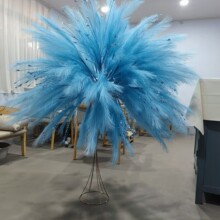 �����JȔ ���W��Y�b� ���R�d���� 18��F؛ ������Ȕ ����˹��