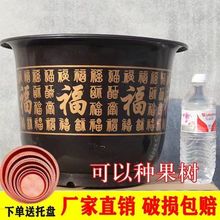 ?���ش�̖���Ӻ����ϻ�����մɹŵ������Ї��L�N�����¼�������