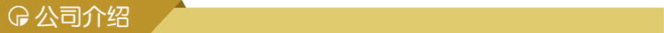 公司介绍
