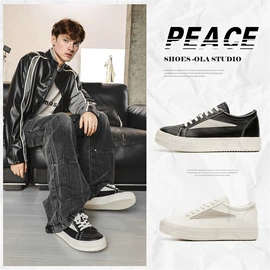 男式板鞋;男式运动单鞋;男式帆布鞋