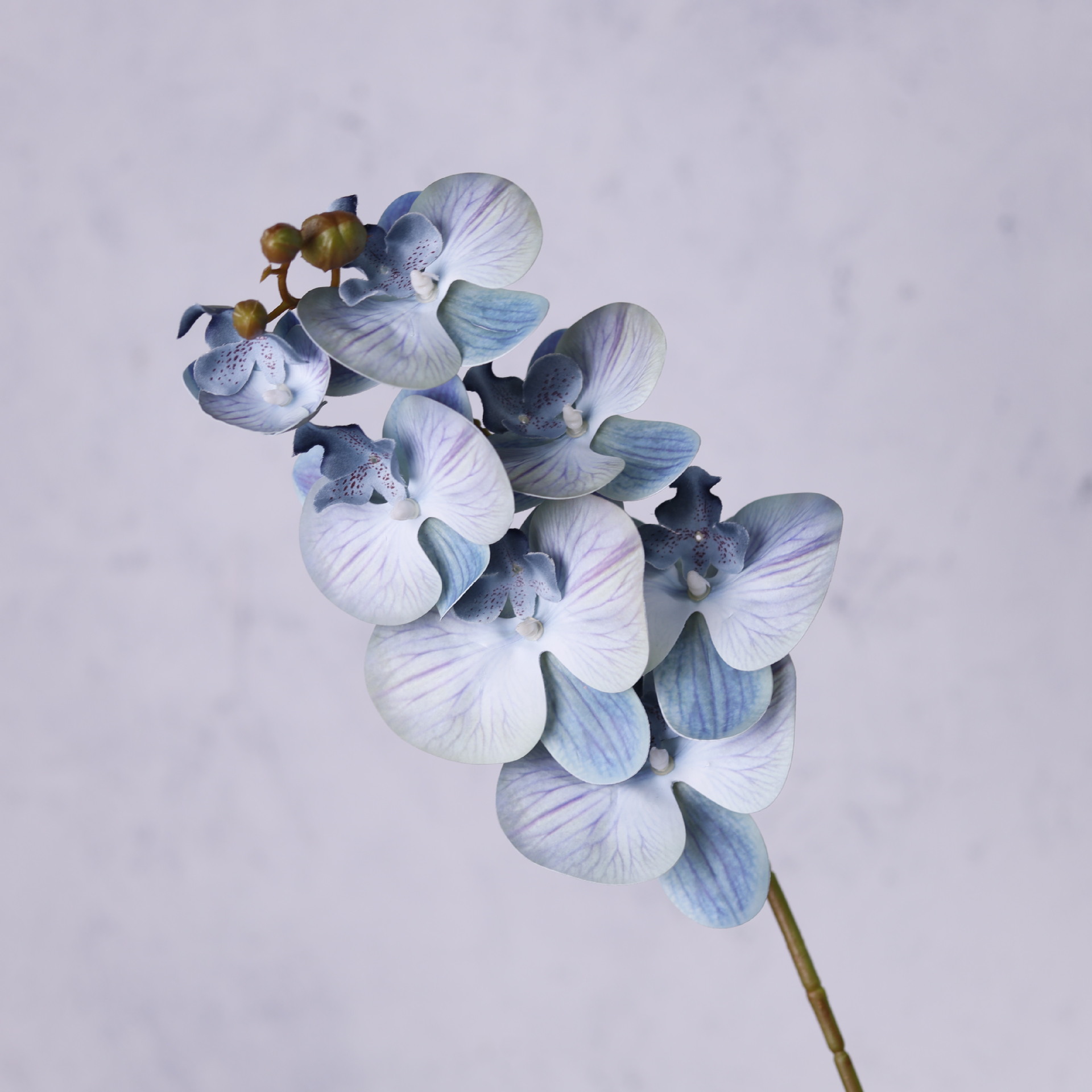 Impresión 3D de 7 cabezas de orquídeas mariposa flor de decoración de flores de alto nivel flor de nicho decoración floral decoración de sala de estar