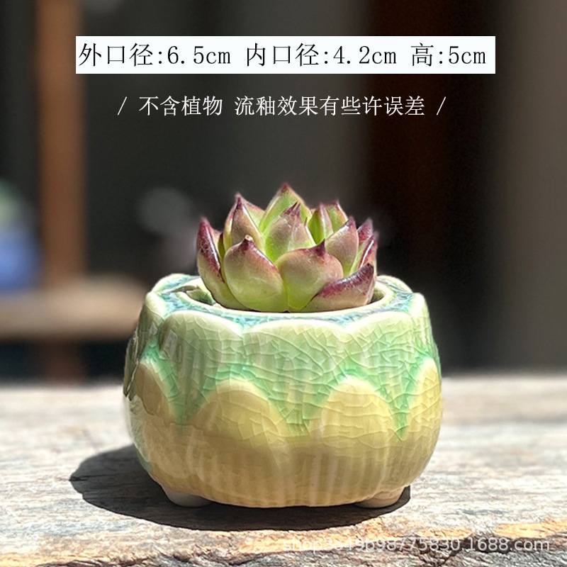 Liulikou small lotus-yellow