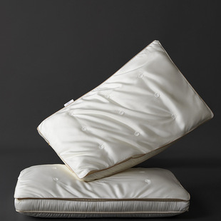 High-end Double-layer Silk Pillow Fluffy Skin-friendly Fit Cervical Vertebrae Four Seasons Applicable Curing Anti-bacterial Pillow Core Beauty Pillow