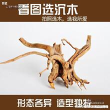�~���쾰��ľ��̖�����b�ˮꑸ���Ȼ���N��������ľ���ľ��̫��