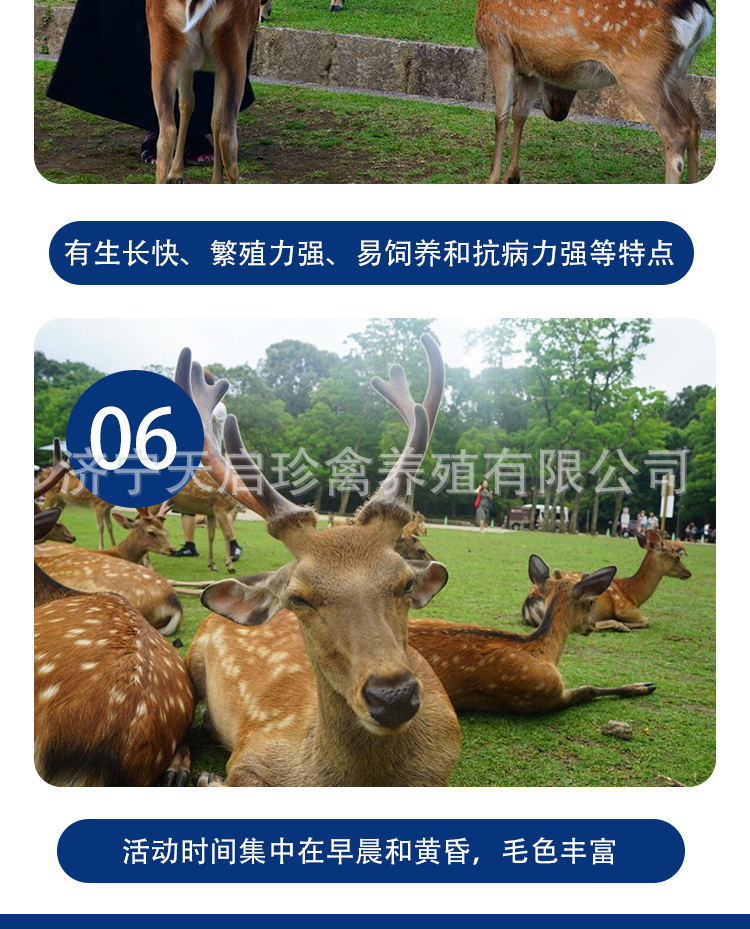 6bc63aaa96021d32a5de22a15ede70