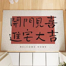 新款ins入户门方形地垫耐脏免洗丝圈pvc轻奢现代门口可裁剪地毯垫