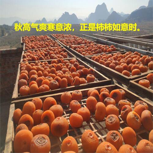 Naturally air-dried, soft and sweet Guizhou Gengcheng persimmon cake, core origin manufacturer, wholesale and distribution
