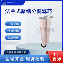 法兰式聚结分离滤芯 油水分离滤芯 航空煤油柴油脱水除杂滤芯