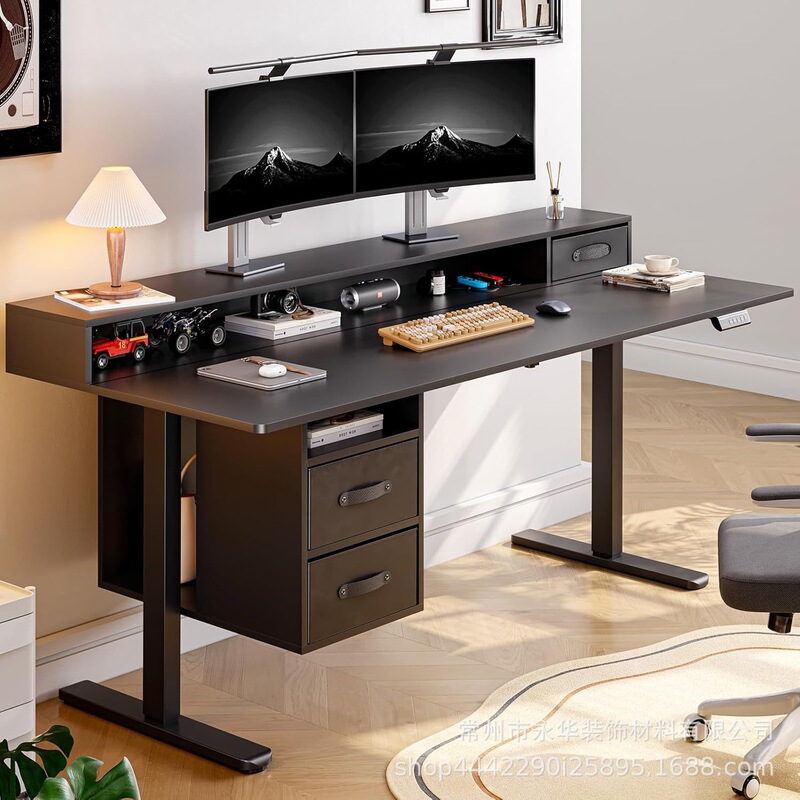 Electric Standing Desk with Adjustable Height, Sit-Stand Home Desk, Office Desk with Storage, Gaming Desk