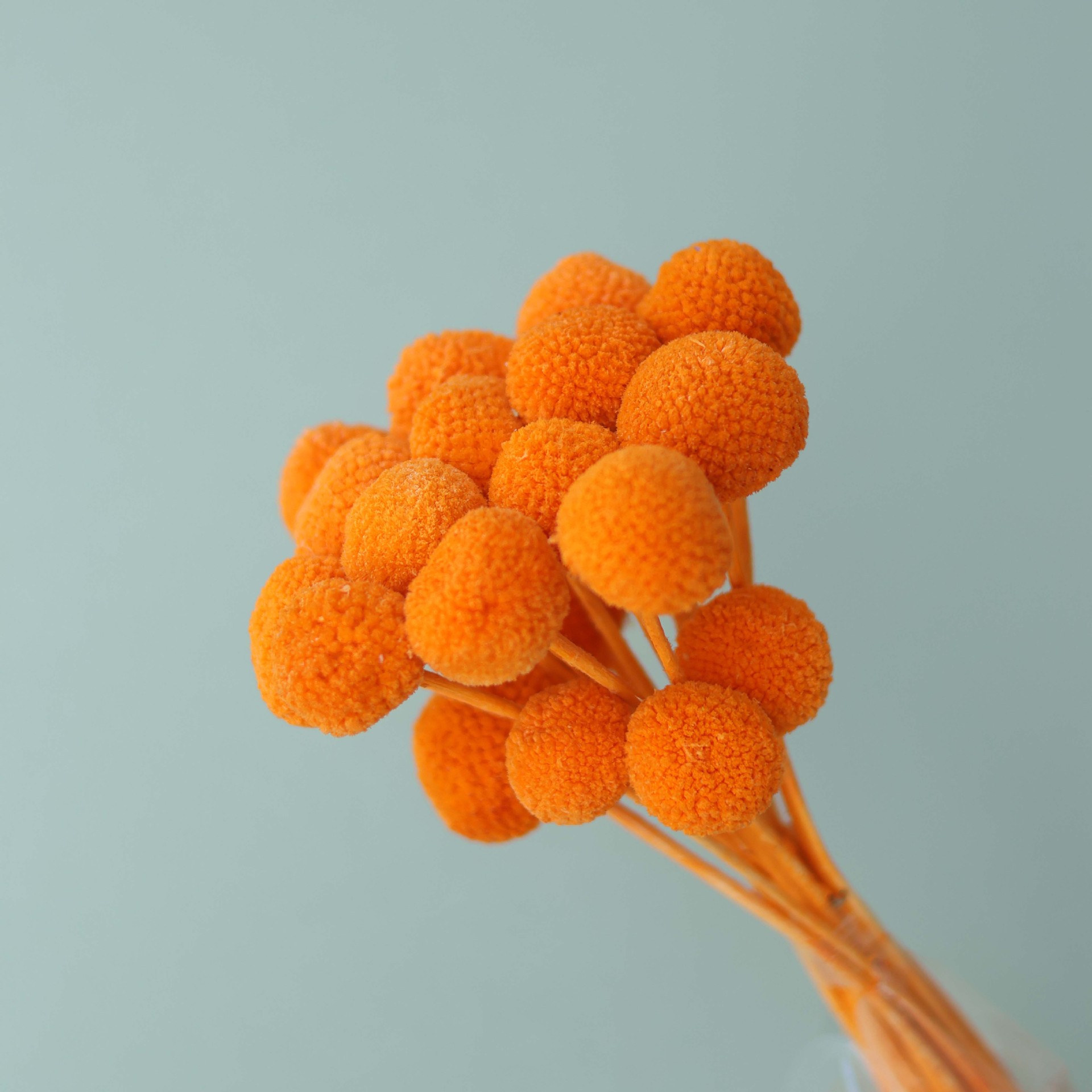 오렌지 20개 묶음