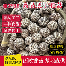 ���x�ɻ������l5��10��������r�^���㹽��؛���㹽���ô�С��